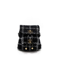 chanel-duma-backpack-tweed-multicoloured-brushed-ghw-microchip-copy