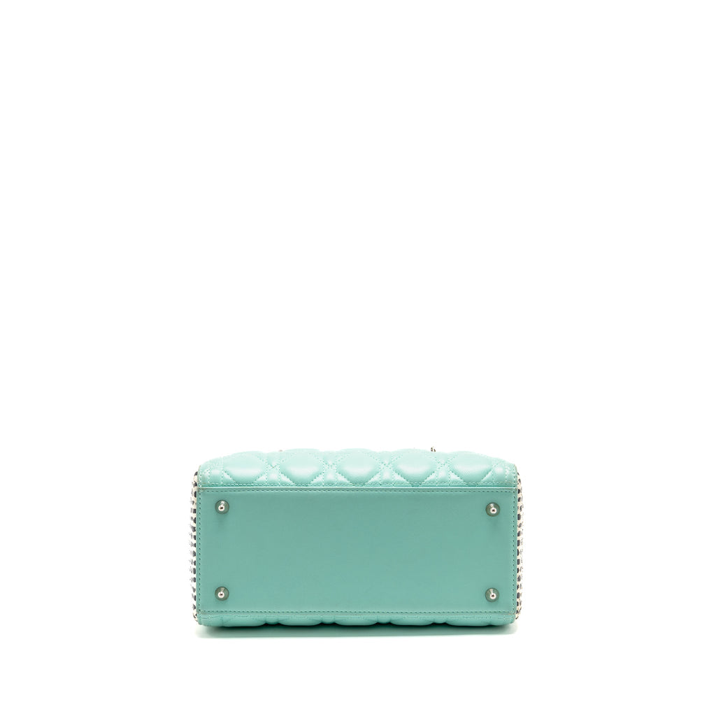 dior-medium-lady-dior-lambskin-python-multicolour-shw