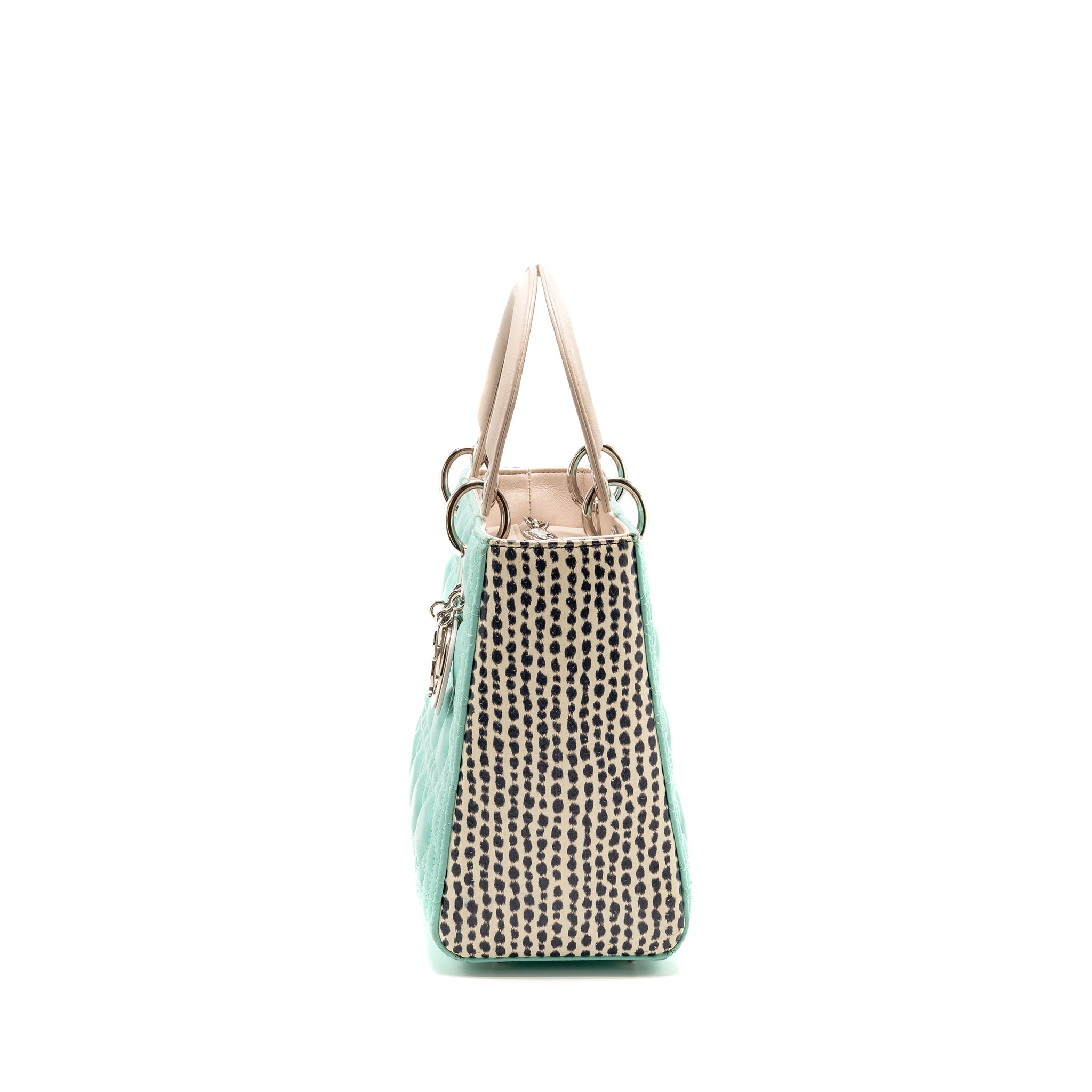 dior-medium-lady-dior-lambskin-python-multicolour-shw