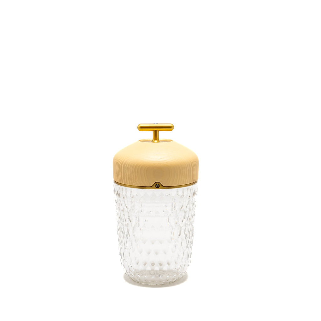 hermes-x-saint-louis-folia-portable-lamp-clair-clear-ghw-copy