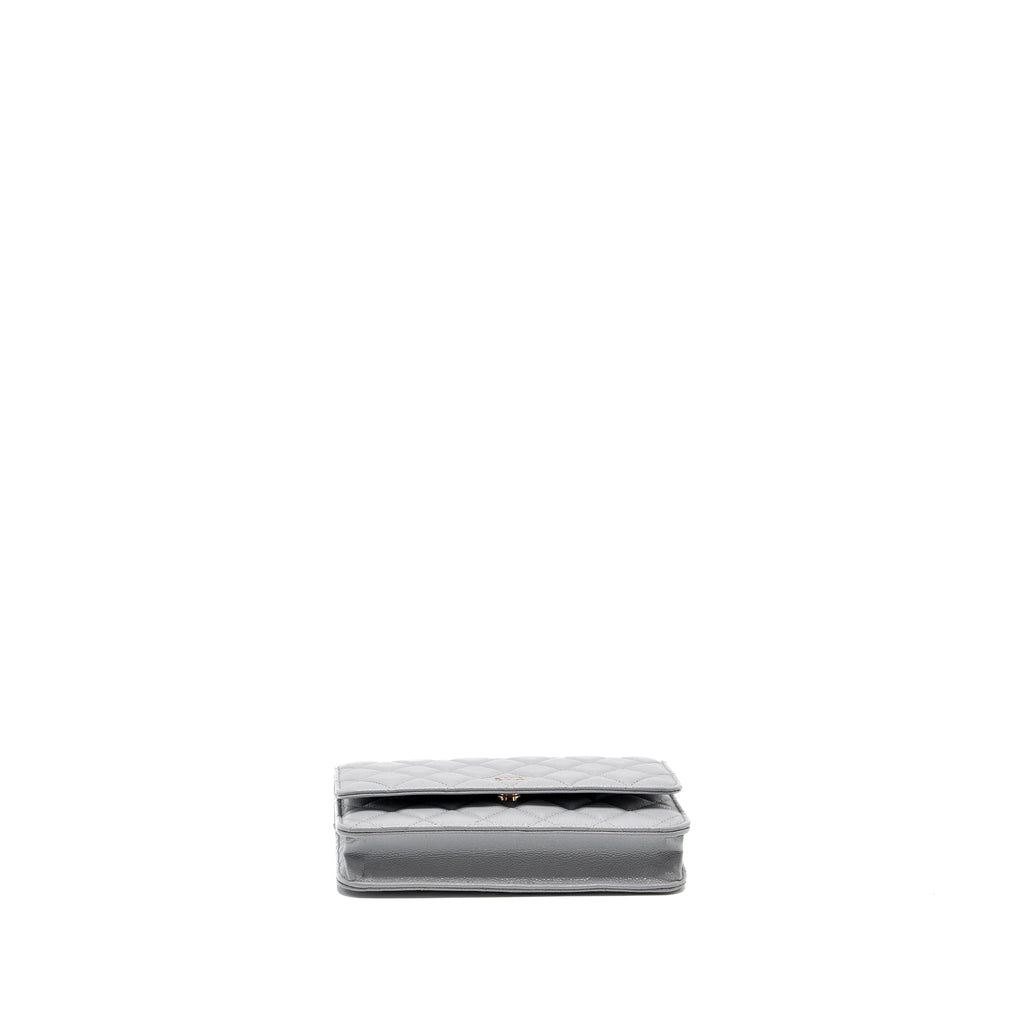 chanel-classic-wallet-on-chain-caviar-light-grey-lghw-microchip-copy