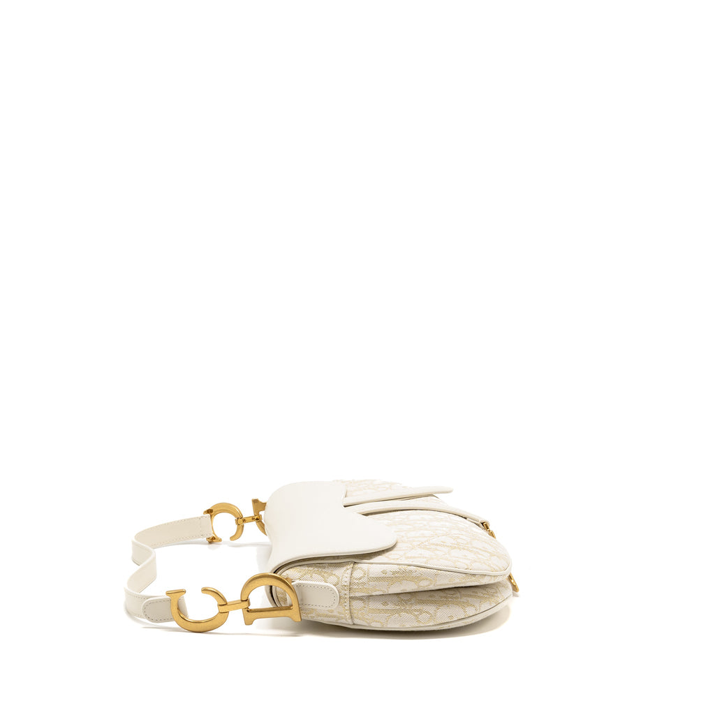 dior-medium-saddle-bag-oblique-canvas-latte-multicolour-ghw
