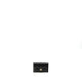 chanel-classic-flap-card-holder-caviar-black-ghw-microchip-2