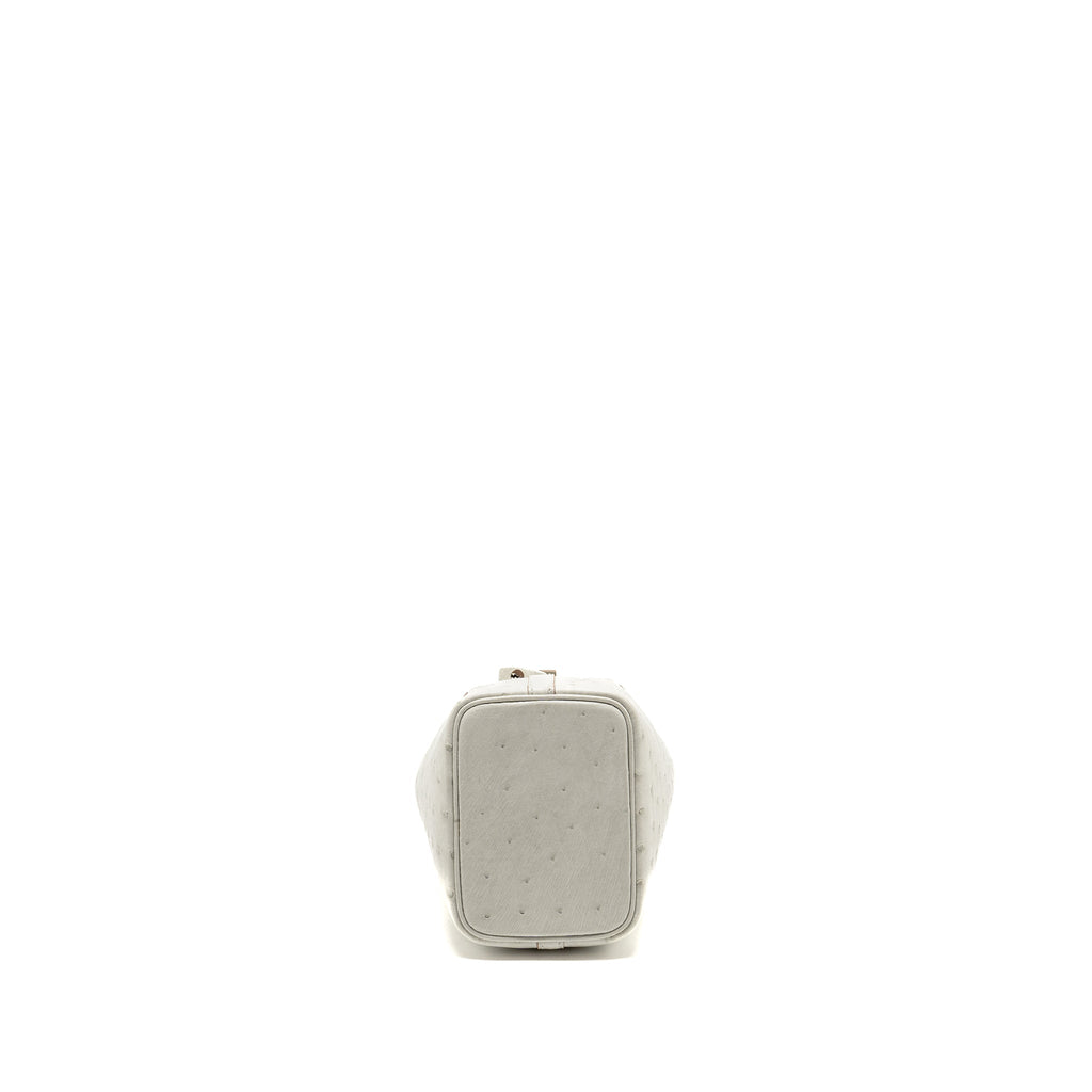 hermes-micro-picotin-14-lock-bag-ostrich-gris-perle-shw-stamp-b-copy