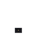 chanel-classic-card-holder-caviar-black-ghw-microchip-3