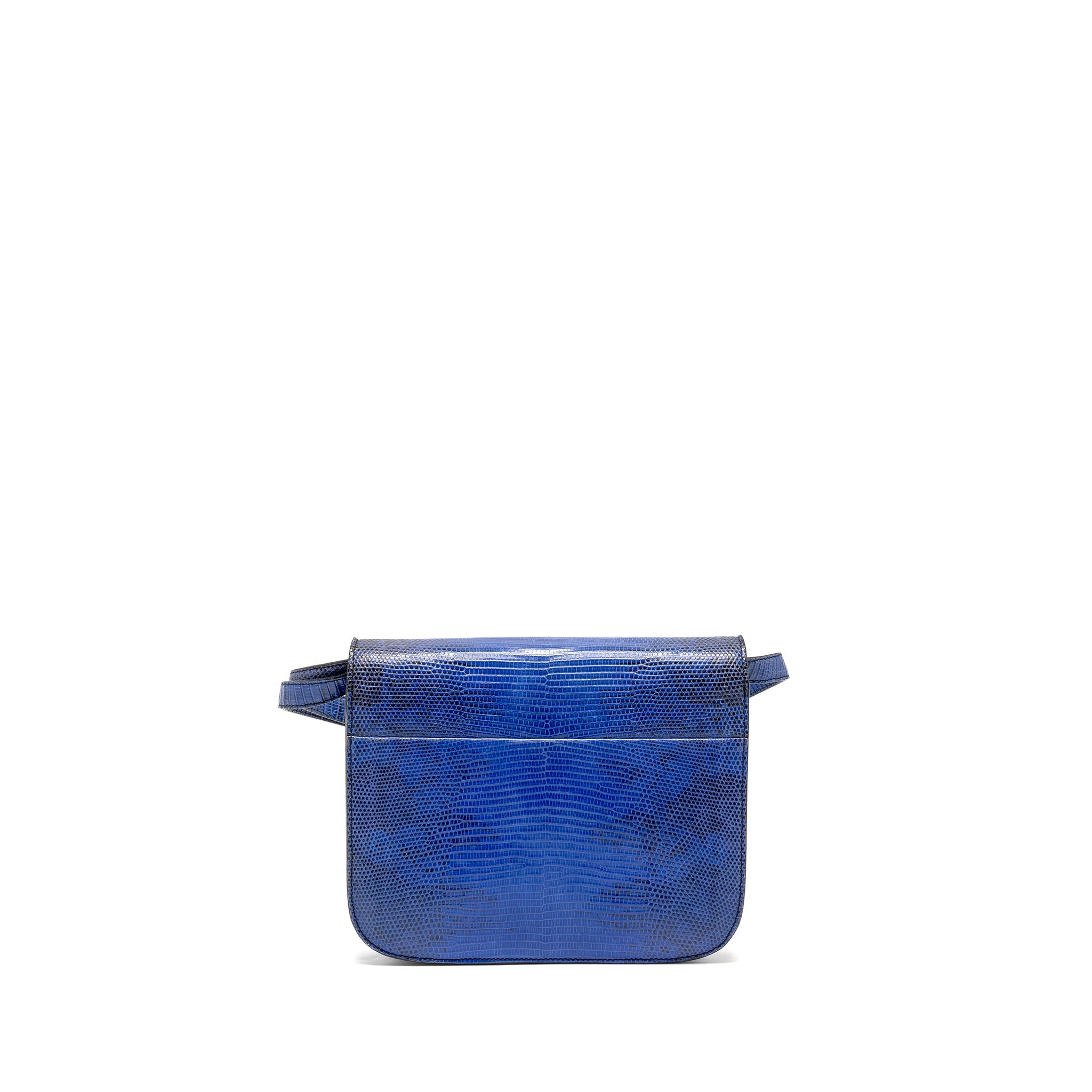 celine-medium-classic-box-bag-lizard-blue-ghw