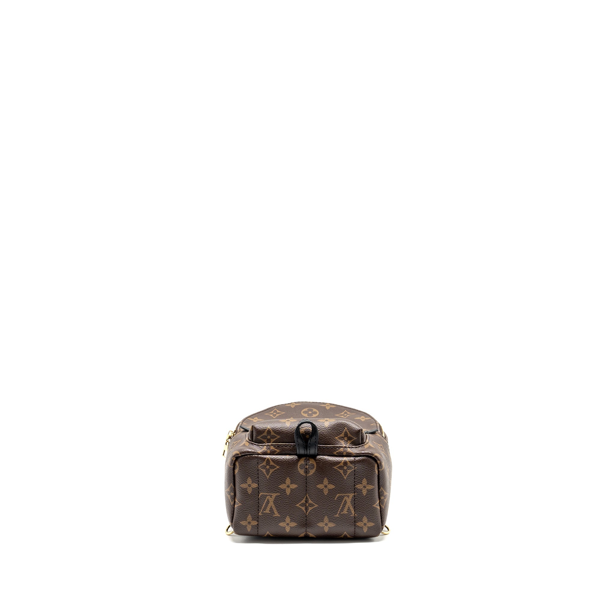 louis-vuitton-palm-spring-mini-backpack-monogram-canvas-2