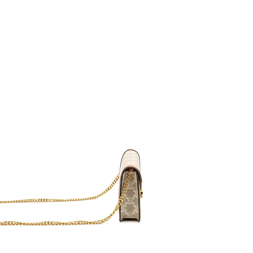 celine-envelope-bag-in-triomphe