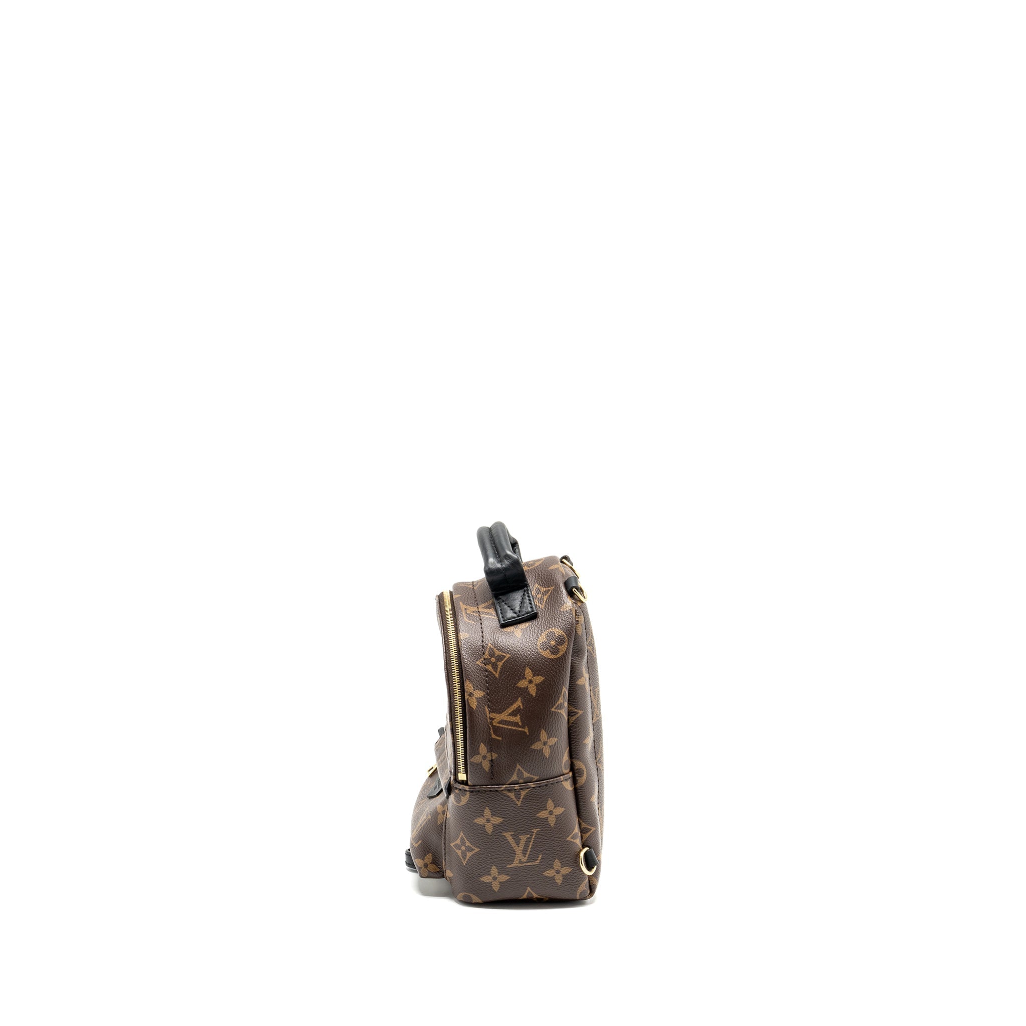 louis-vuitton-palm-spring-mini-backpack-monogram-canvas-2