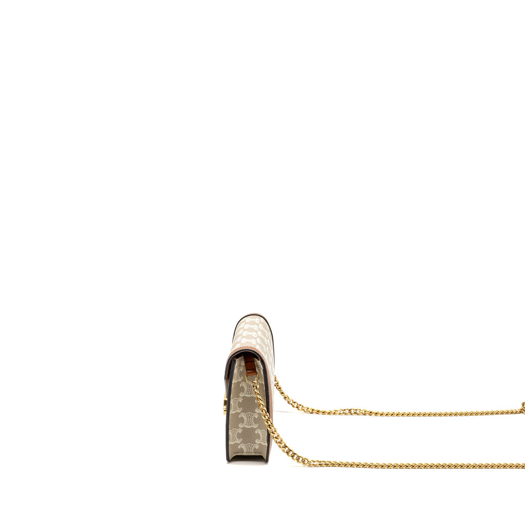 celine-envelope-bag-in-triomphe