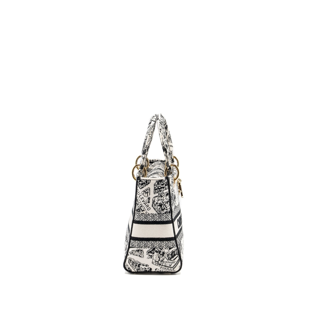 dior-medium-lady-d-lite-bag-plan-de-paris-embroidery-canvas-black-white-lghw-copy
