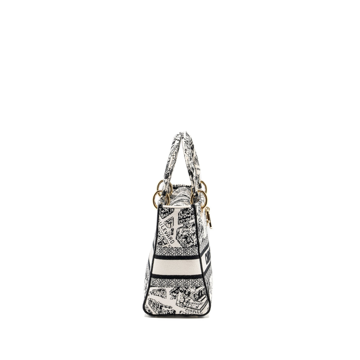 dior-medium-lady-d-lite-bag-plan-de-paris-embroidery-canvas-black-white-lghw-copy