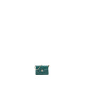 copy-of-bvlgari-serpenti-forever-bag-charm-calfskin-green-lghw