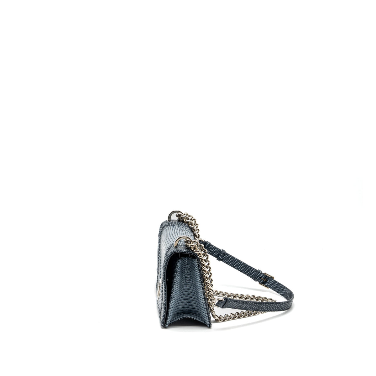 dior-small-diorama-lizard-silver-multicolour-shw