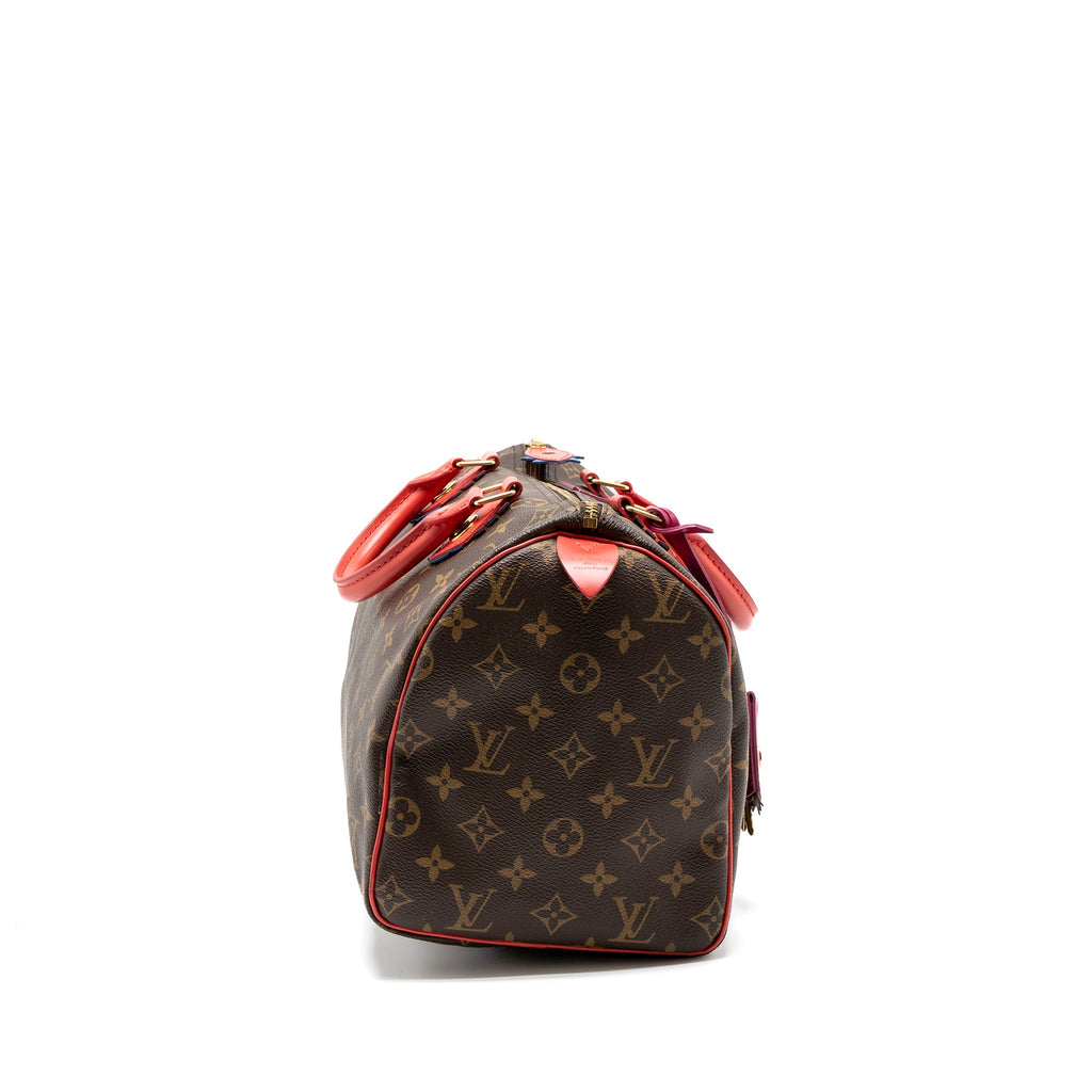 louis-vuitton-speedy-30-limited-edition-monogram-canvas-ghw-1