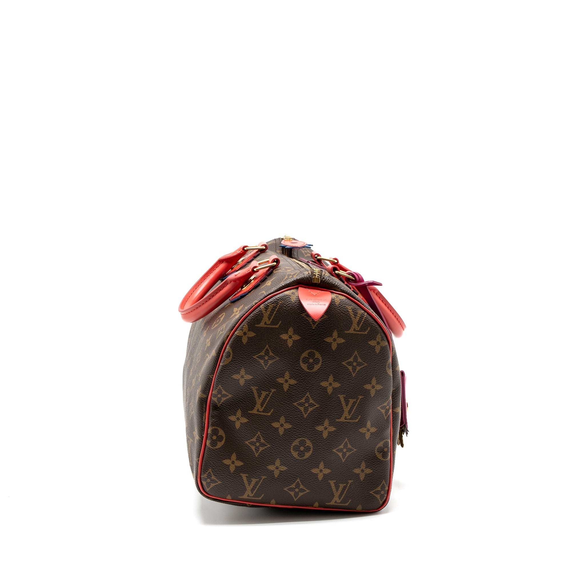 louis-vuitton-speedy-30-limited-edition-monogram-canvas-ghw-1