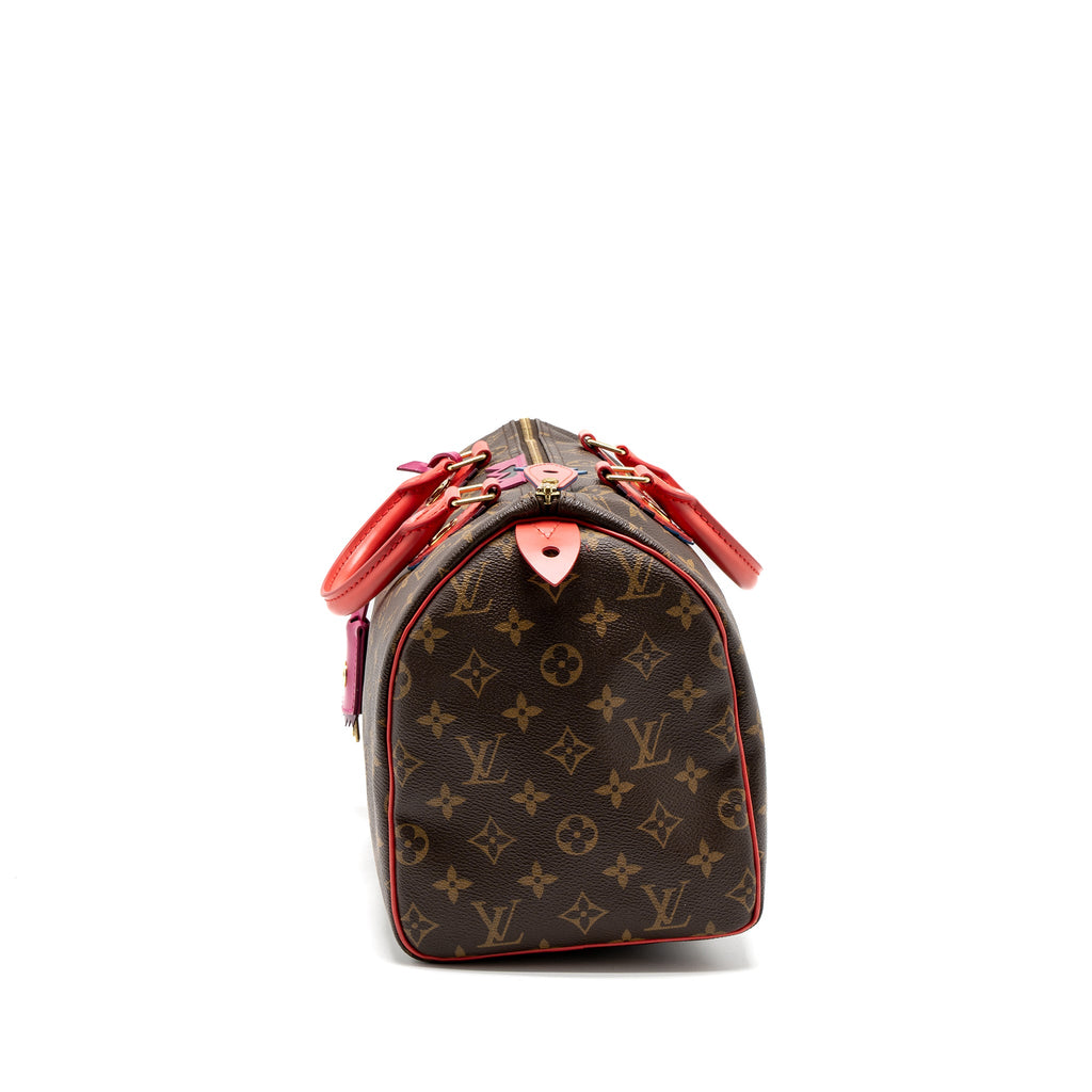 louis-vuitton-speedy-30-limited-edition-monogram-canvas-ghw-1