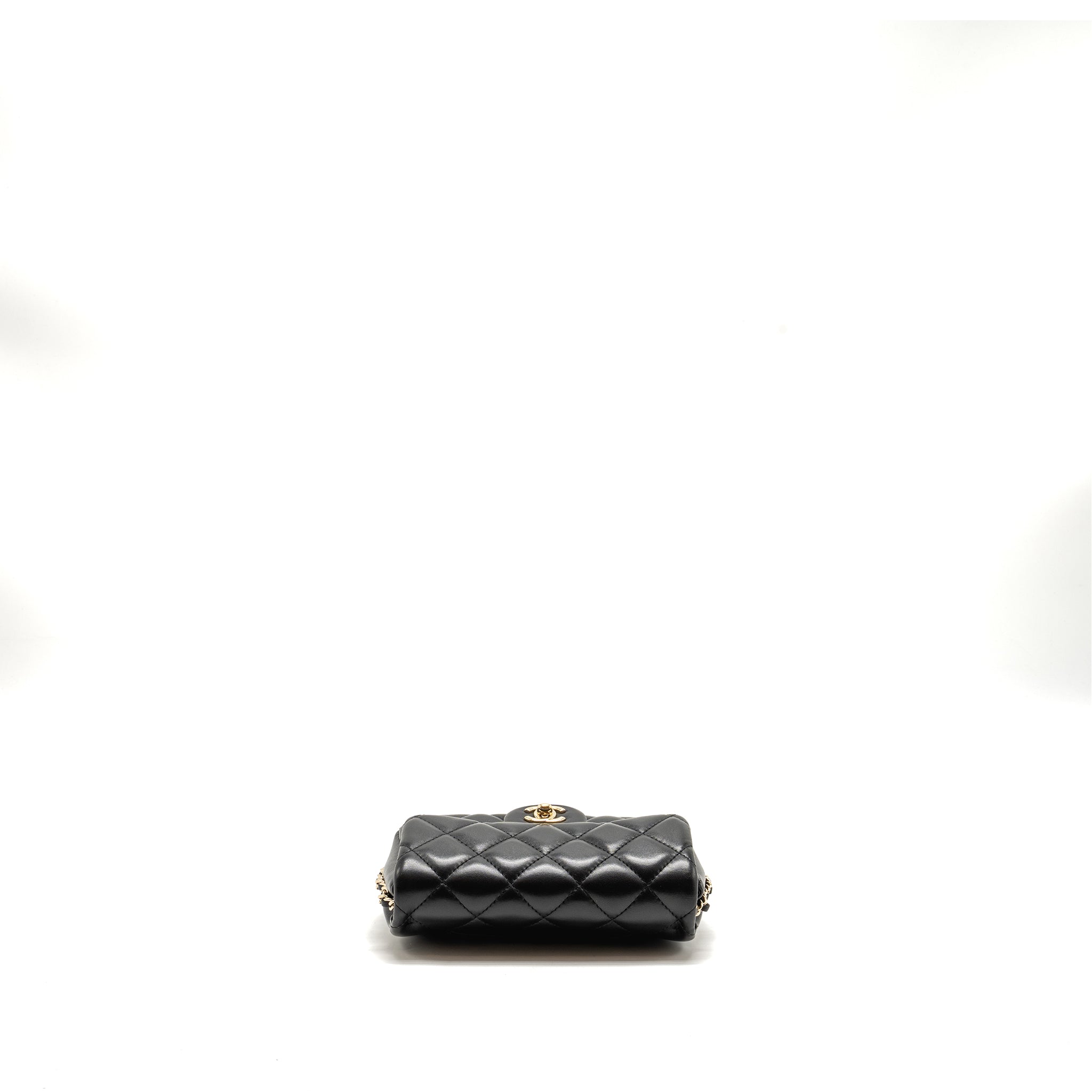 chanel-quilted-flap-bag-with-pearl-chain-lambskin-black-lghw-copy
