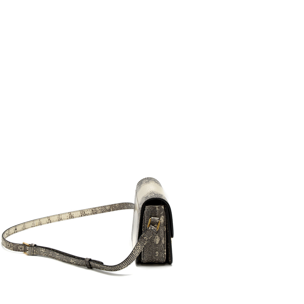 celine-teen-triomphe-bag-lizard-natural-colour-ghw