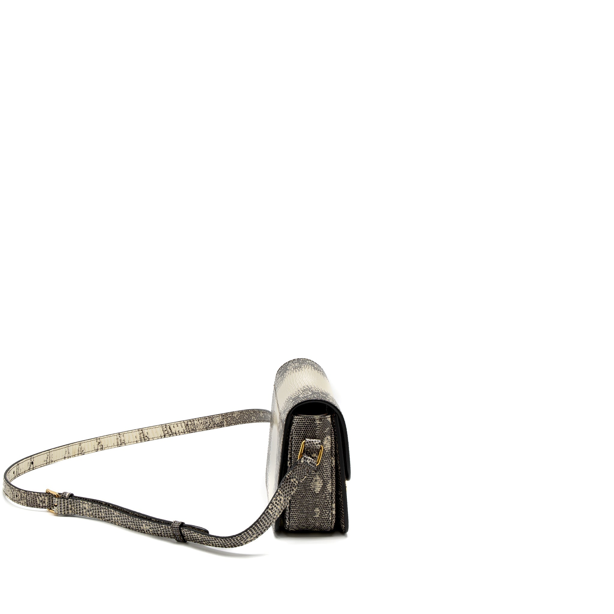 celine-teen-triomphe-bag-lizard-natural-colour-ghw