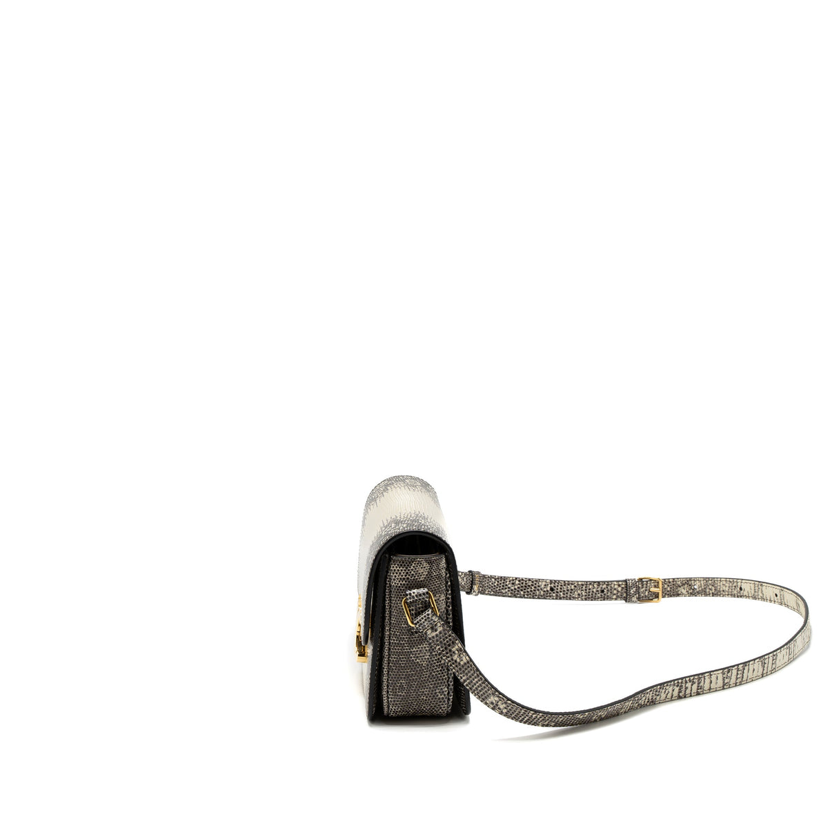celine-teen-triomphe-bag-lizard-natural-colour-ghw
