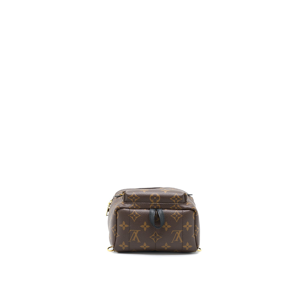 louis-vuitton-palm-spring-mini-backpack-monogram-canvasnew-version-zipper