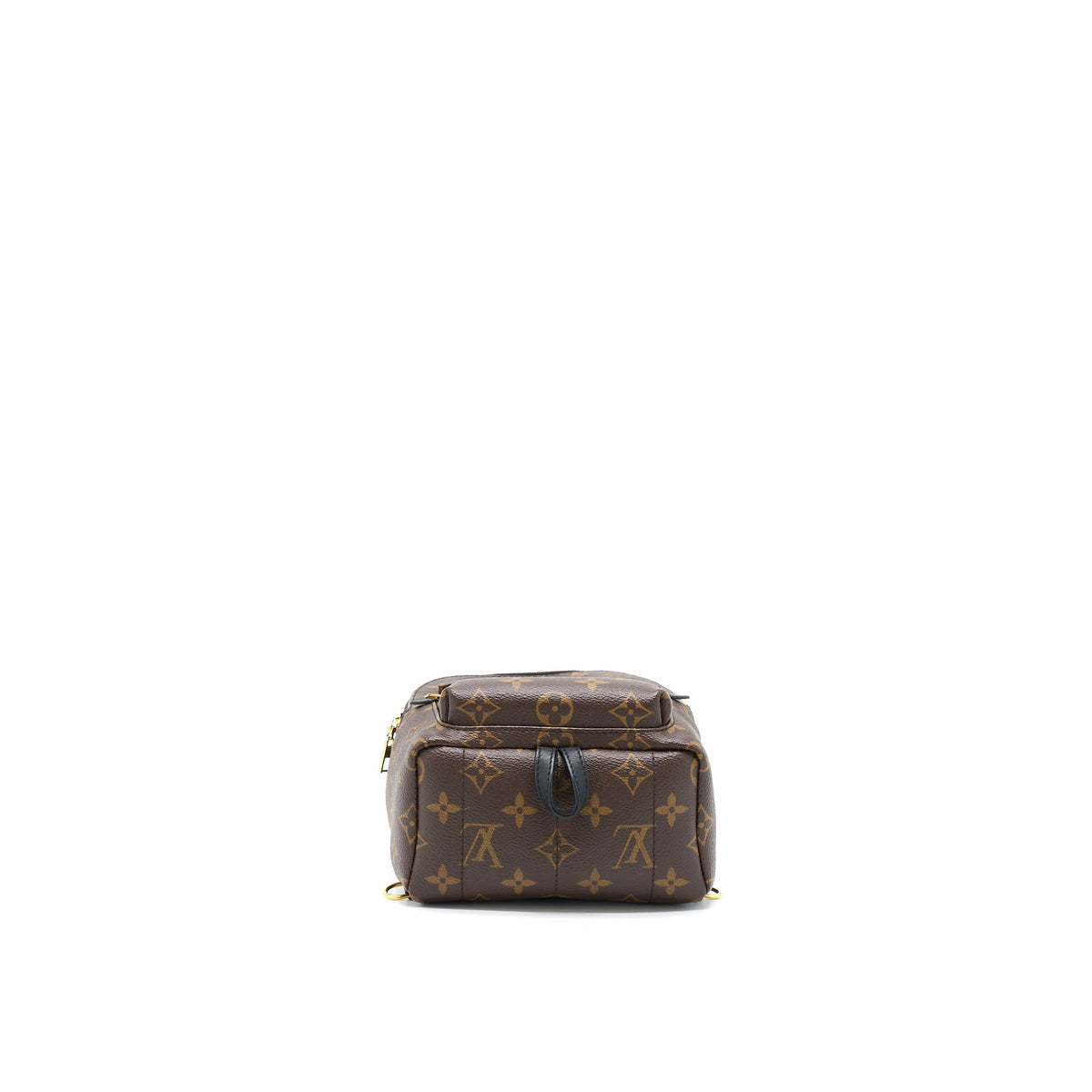 louis-vuitton-palm-spring-mini-backpack-monogram-canvasnew-version-zipper