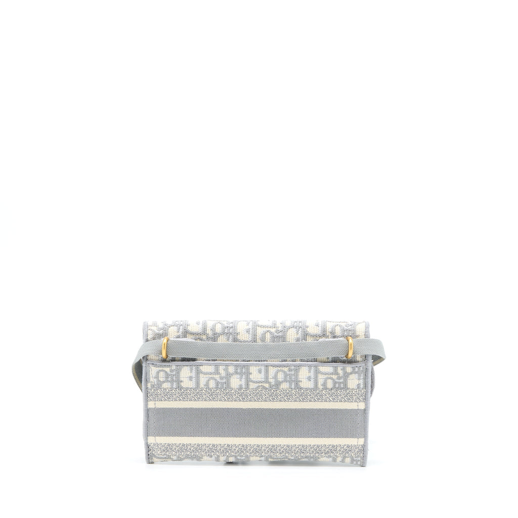 dior-saddle-slim-pouch-light-grey-dior-oblique-embroidery