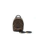 louis-vuitton-palm-spring-mini-backpack-monogram-canvas-ghw-2