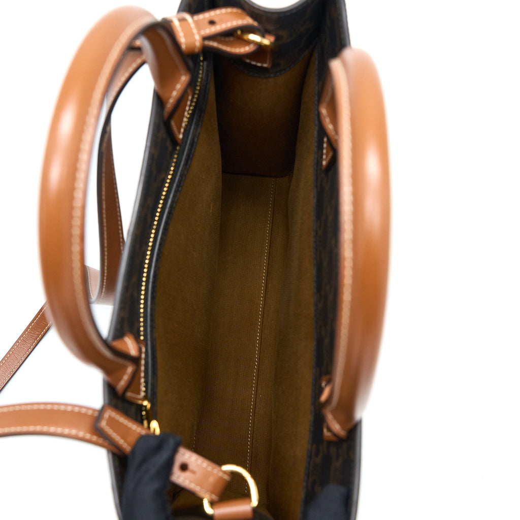 celine-vertical-cabas-triomphe-canvas-ghw-2