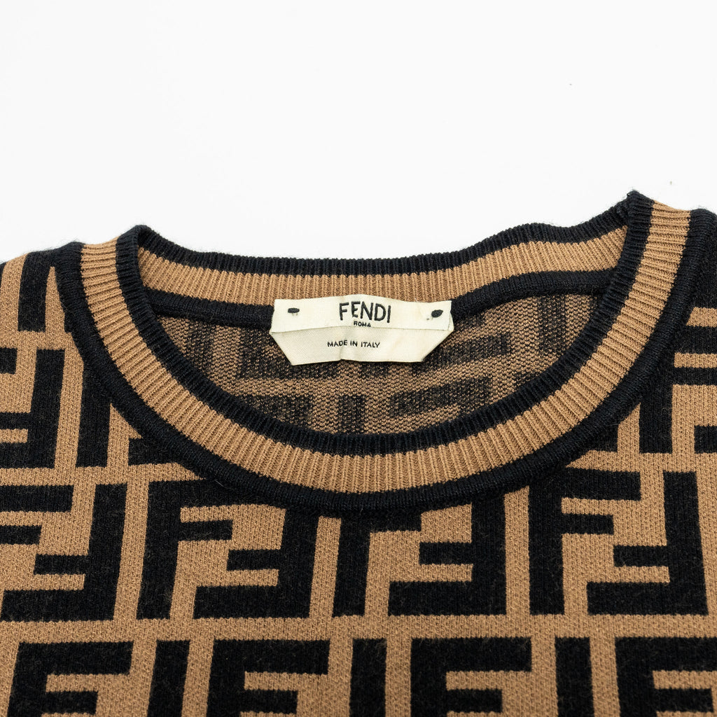 fendi-size-36-ff-sweater-viscose-polyester-brown-black