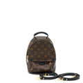 louis-vuitton-palm-springs-mini-backpack-monogram-canvas-ghw