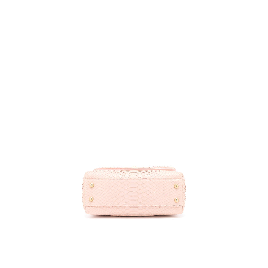 chanel-small-coco-handle-python-leather-light-pink-brushed-ghw