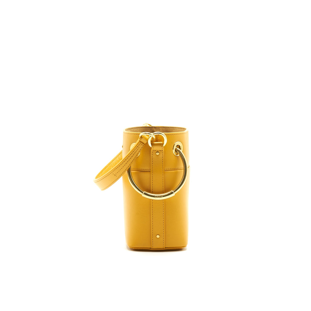 chole-roy-mini-leather-bucket-bag-burning-camel