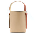 celine-small-twisted-cabas-tote-multicoloured