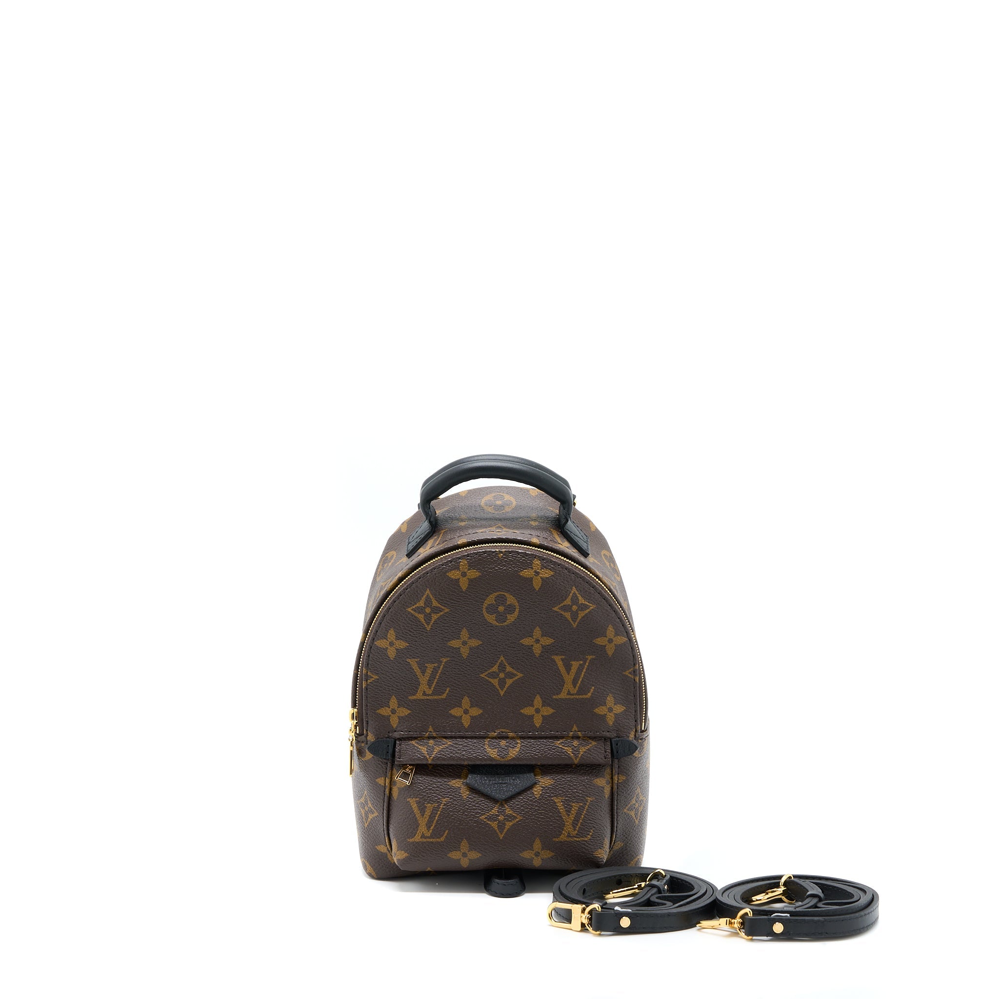 copy-of-louis-vuitton-palm-spring-mini-backpack-monogram-canvas-ghw