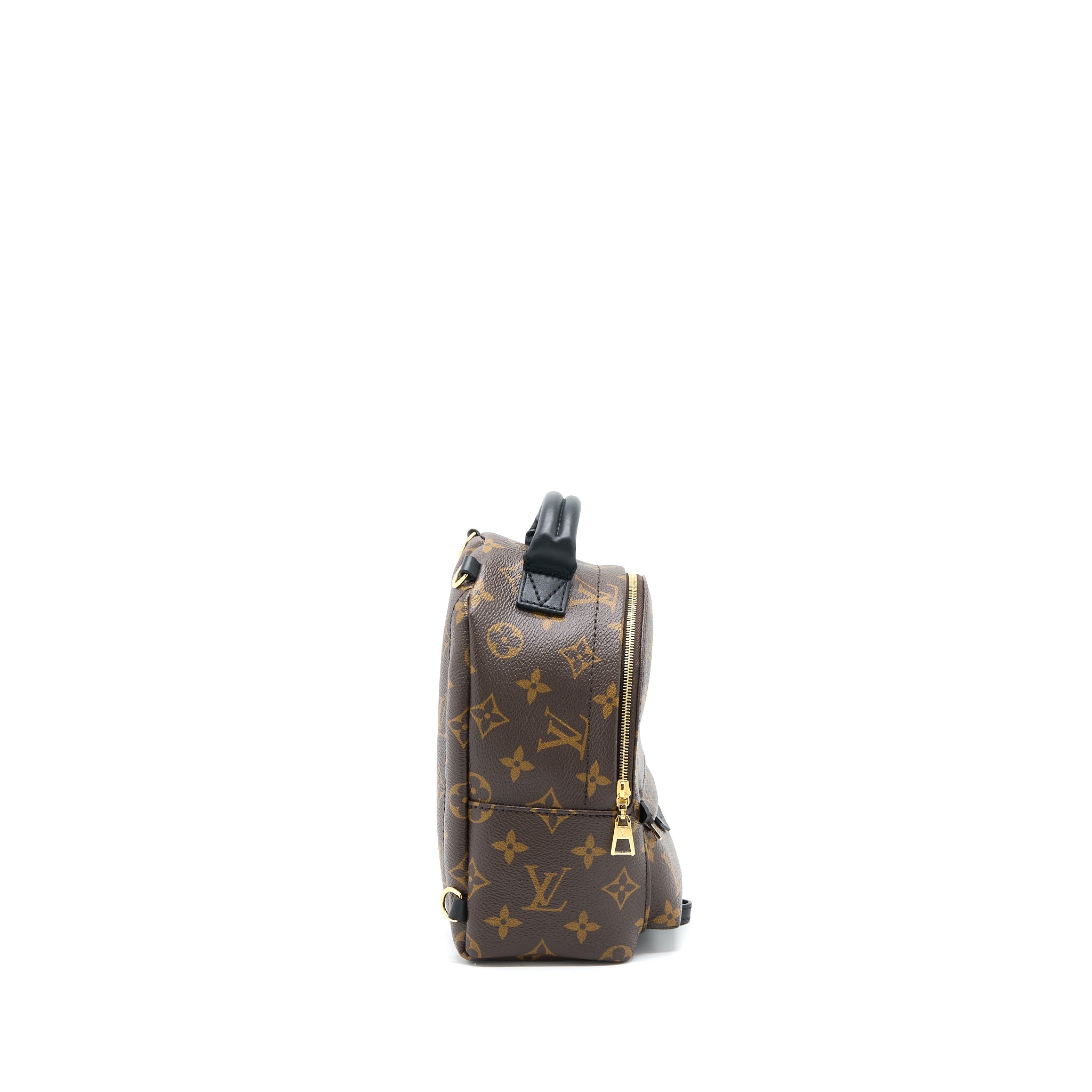 louis-vuitton-palm-spring-mini-backpack-monogram-canvas-ghw-7