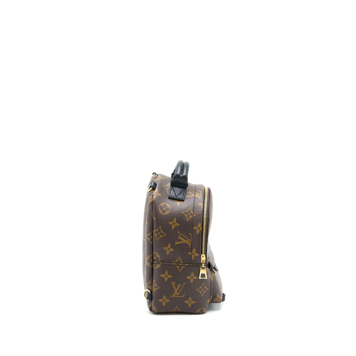 copy-of-louis-vuitton-palm-spring-mini-backpack-monogram-canvas-ghw