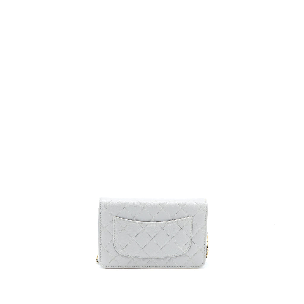 chanel-classic-wallet-on-chain-caviar-light-grey-lghw-microchip-1