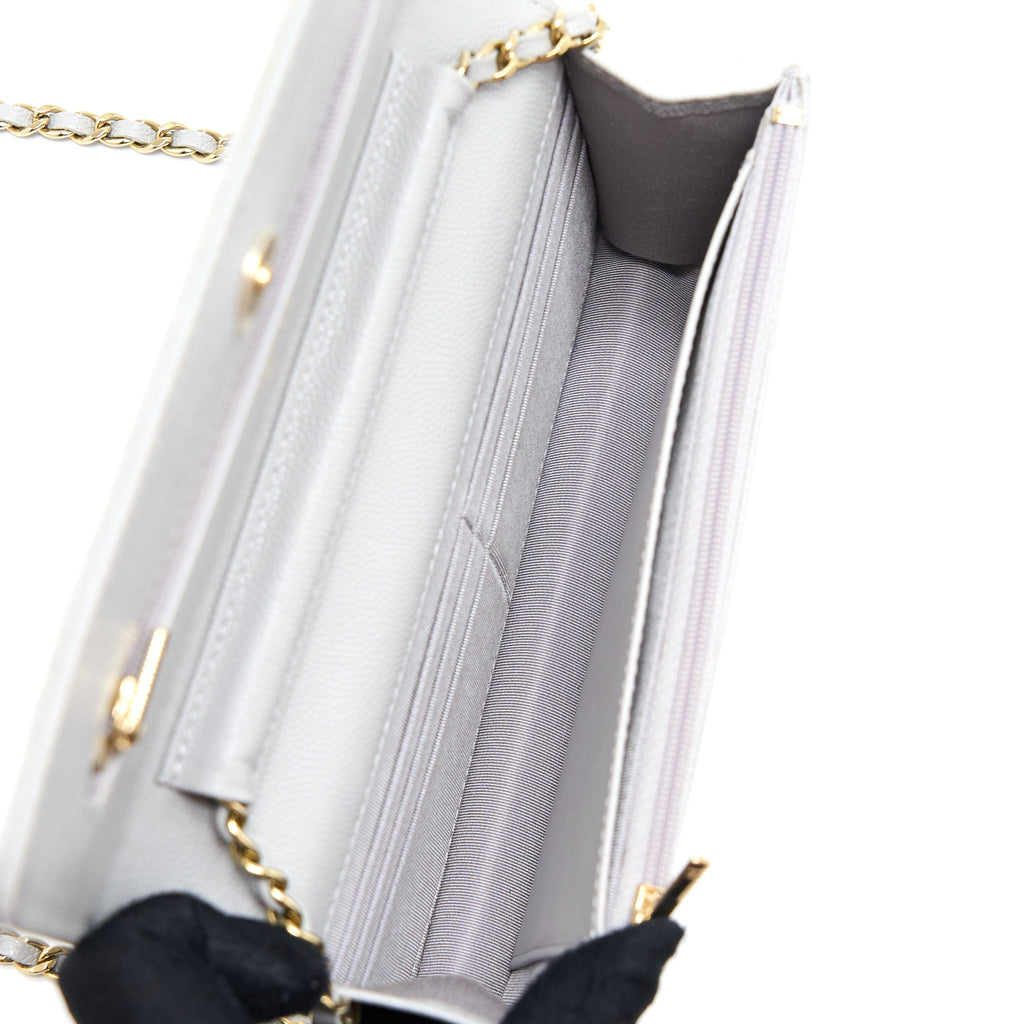 chanel-classic-wallet-on-chain-caviar-light-grey-lghw-microchip-1