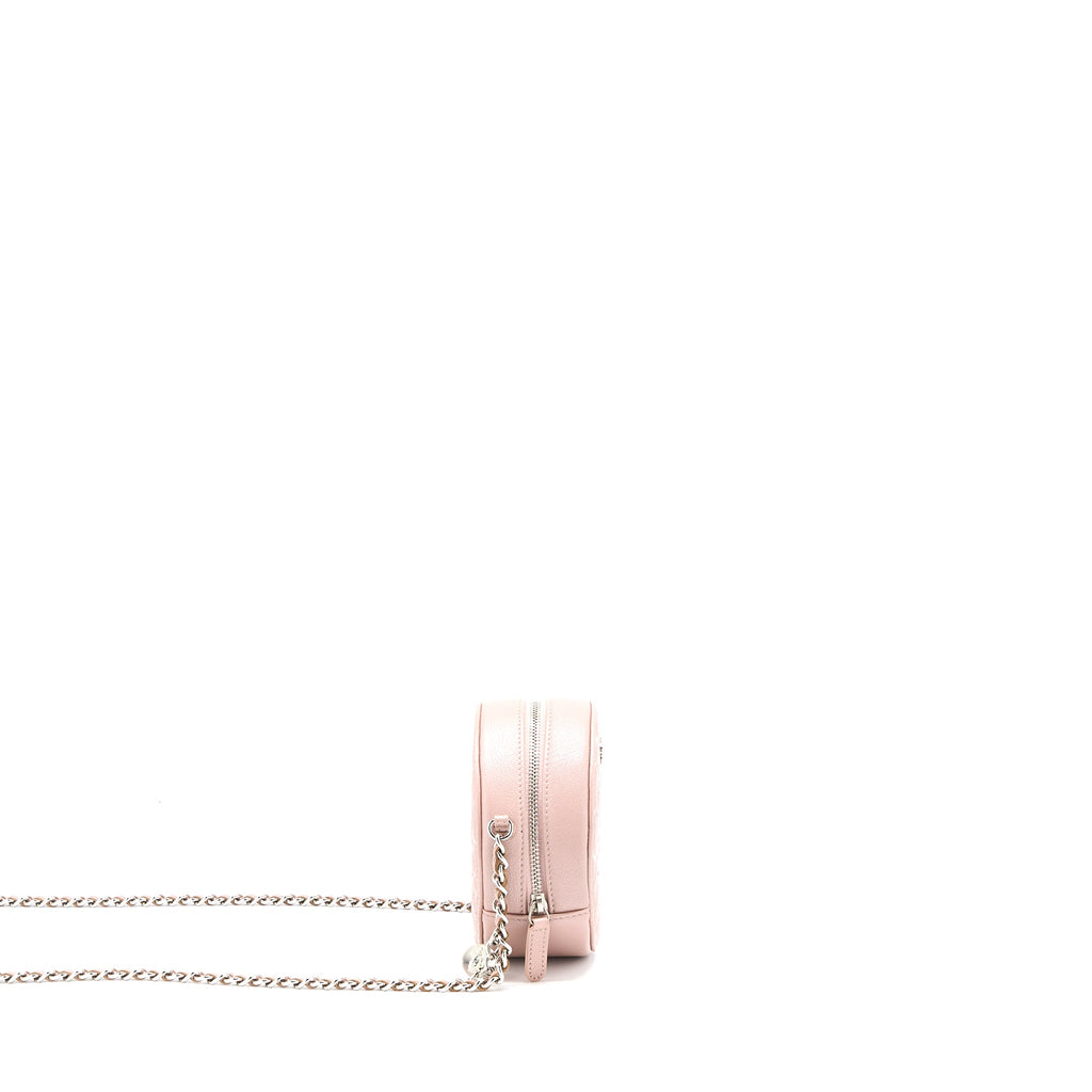 chanel-round-clutch-with-chain-camellia-calfskin-nude-pink-shw