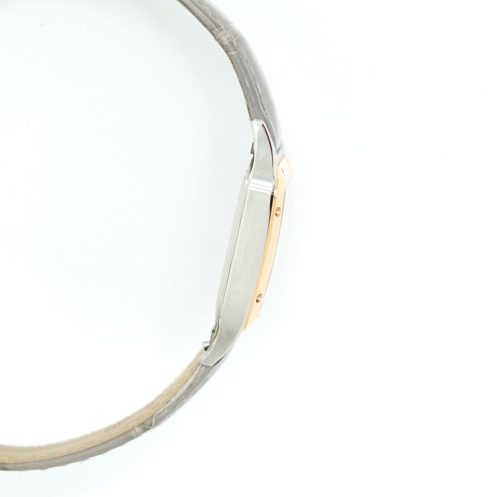 cartier-santos-dumont-sm-gs-sil-dial-w2sa0012