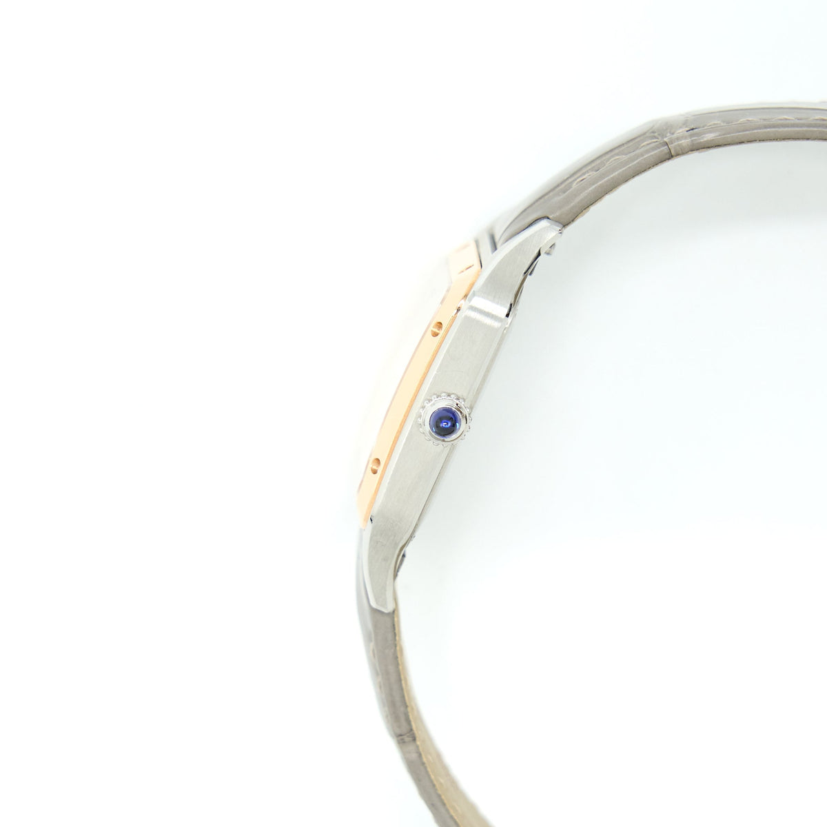 cartier-santos-dumont-sm-gs-sil-dial-w2sa0012