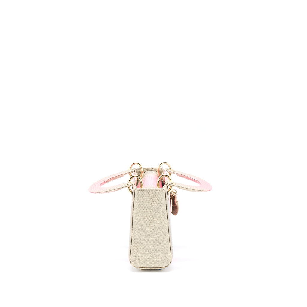 dior-mini-lady-dior-lizard-multicolour-lghw