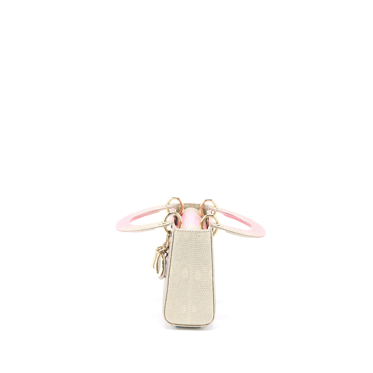 dior-mini-lady-dior-lizard-multicolour-lghw