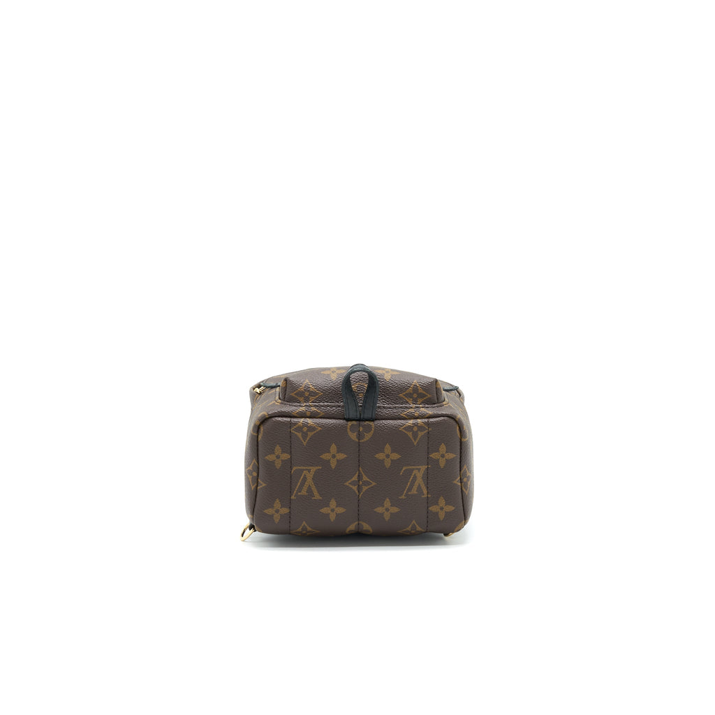 louis-vuitton-palm-springs-mini-backpack-old-version