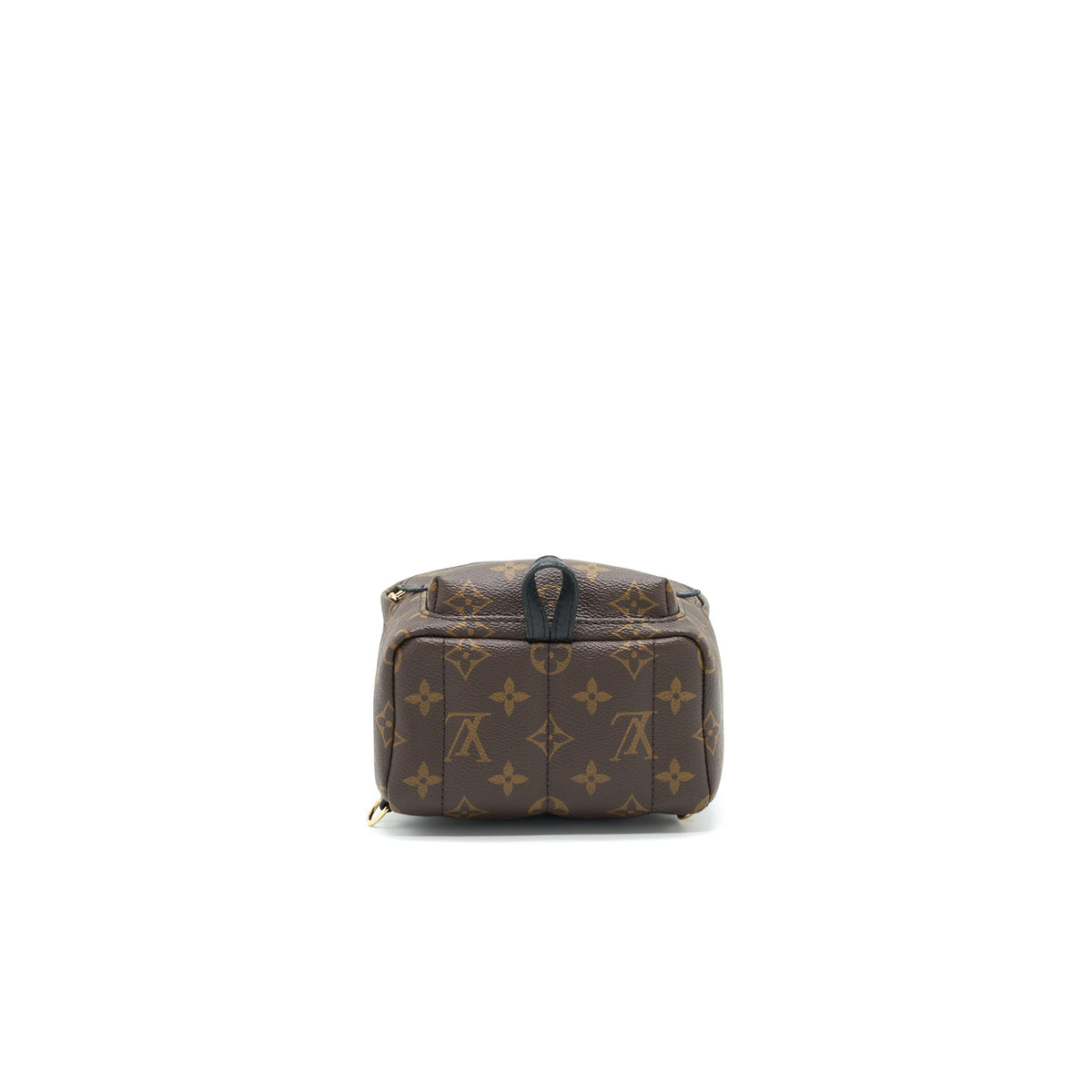 louis-vuitton-palm-springs-mini-backpack-old-version