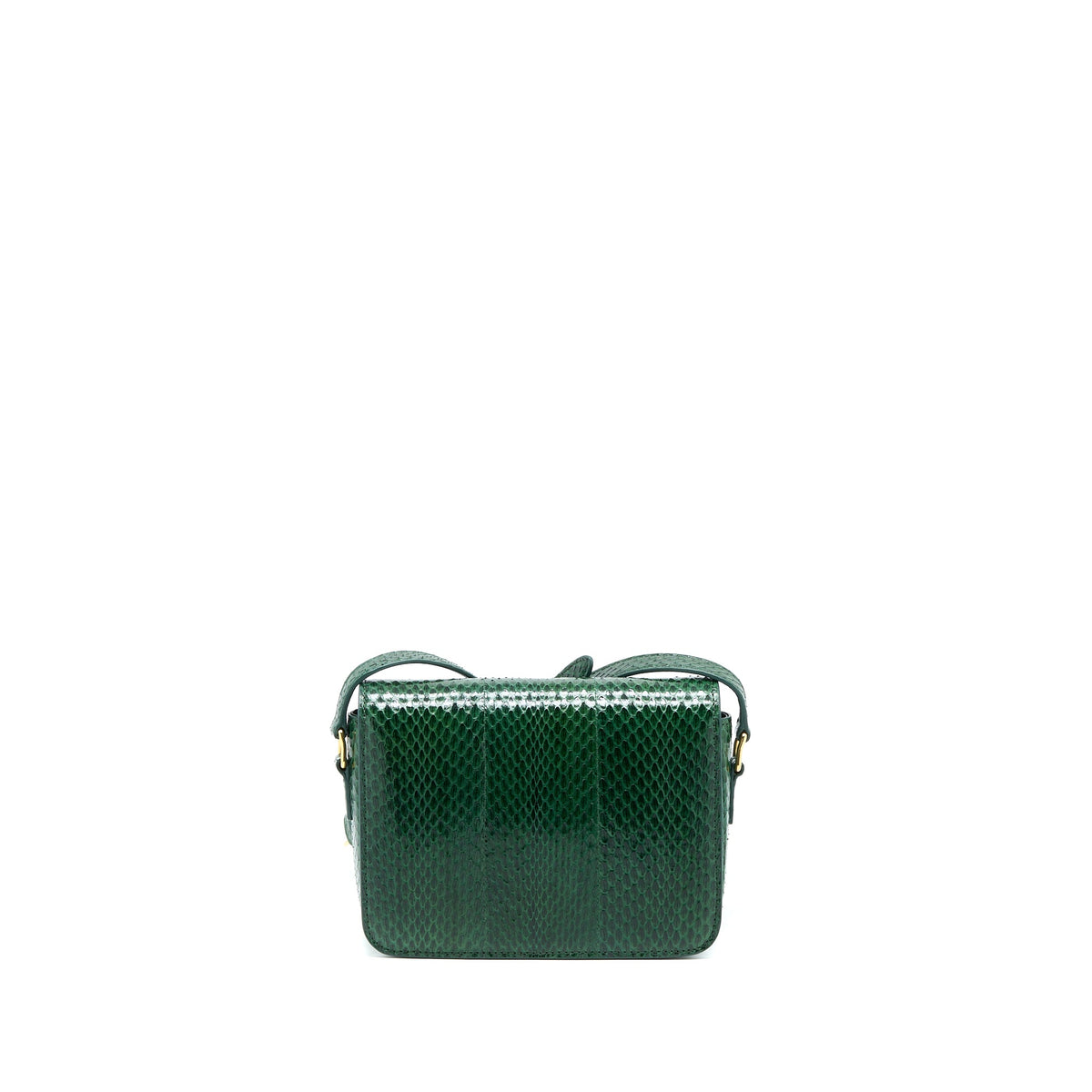 celine-triomphe-bag-watersnake-leather-green-ghw