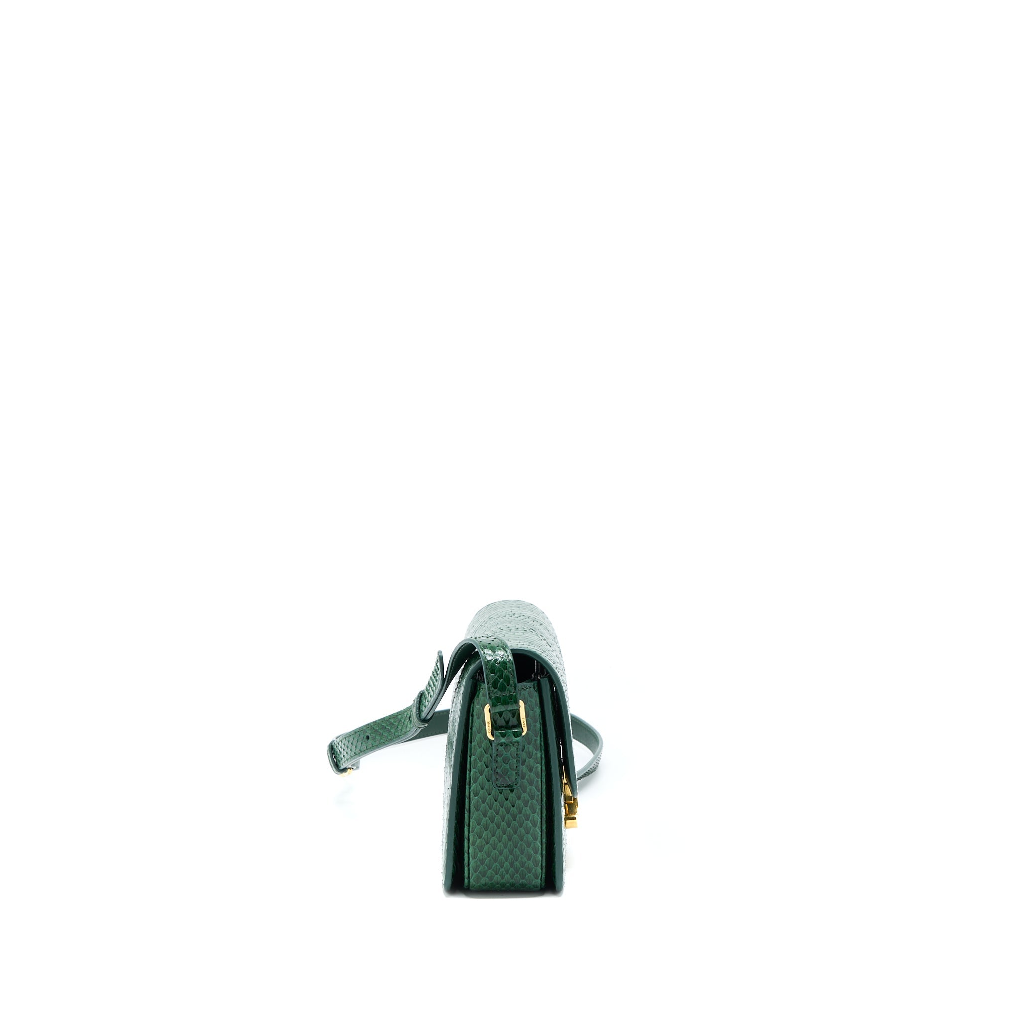 celine-triomphe-bag-watersnake-leather-green-ghw