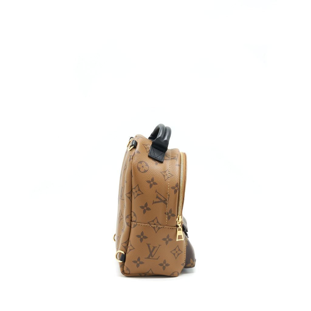 louis-vuitton-palm-spring-mini-backpack-year-2020